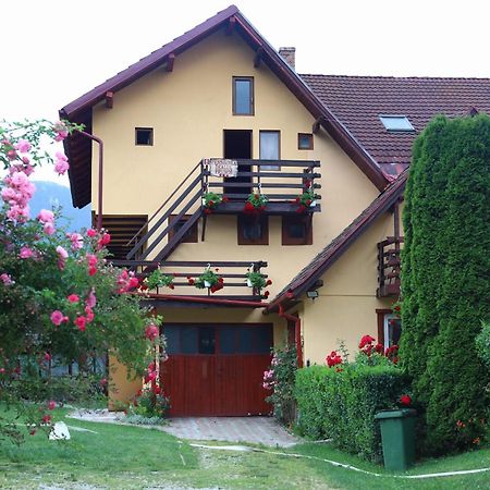 Pensiunea Dealul Frumos Bran  Exterior foto